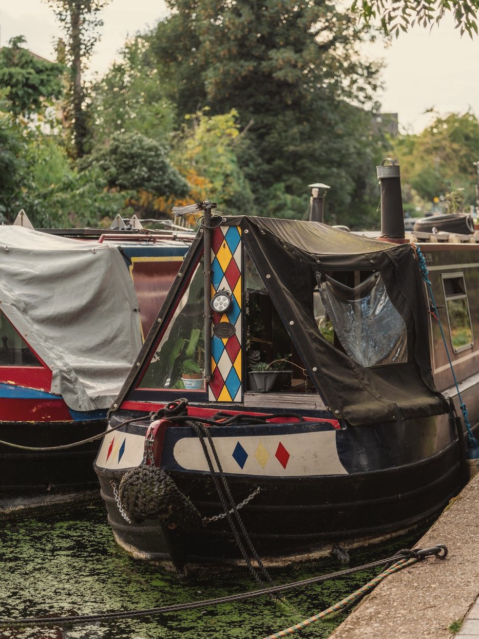 Narrowboats moored along a canal