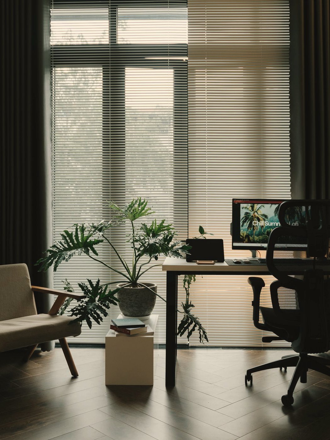 A quiet office with plants by the window